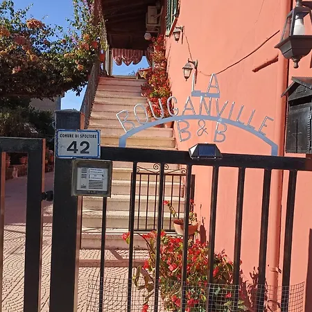 B&B La Bouganville Spoltore Exterior foto